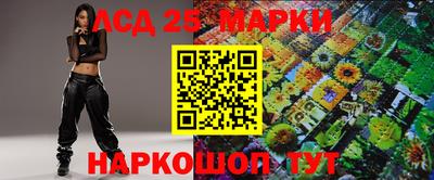 шишки Изобильный