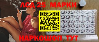 шишки Изобильный