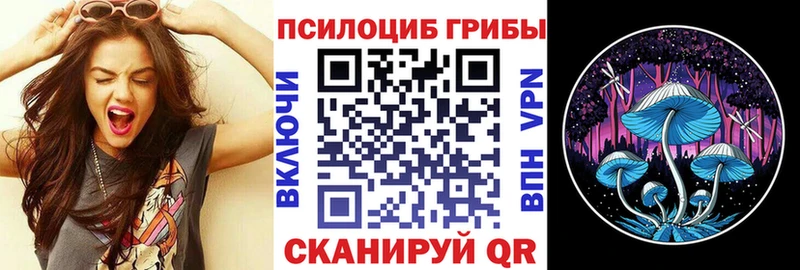 Псилоцибиновые грибы Cubensis  где найти   Новороссийск 