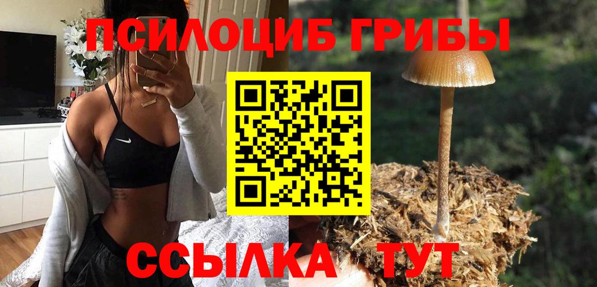 купить наркотик  Вход с VPN  Новороссийск  Галлюциногенные грибы мухоморы 