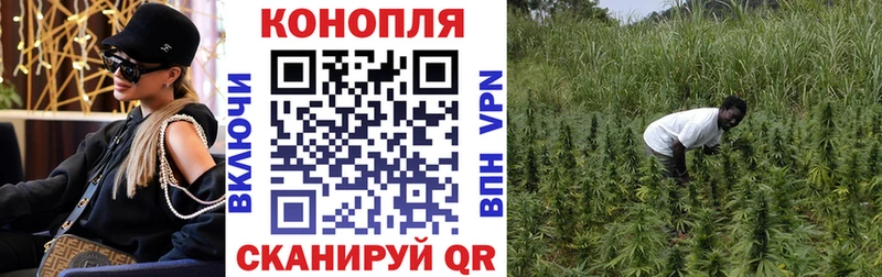 Конопля AK-47  закладка  Новороссийск 